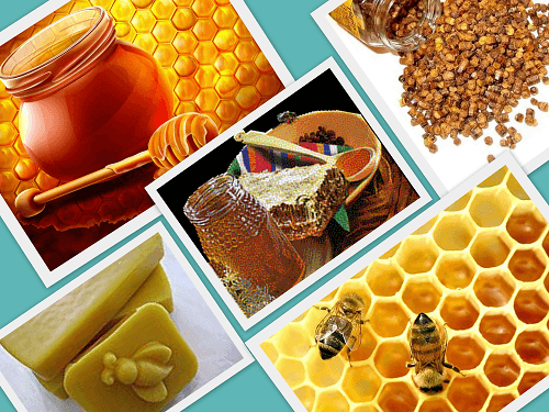 мед и продукты пчеловодства